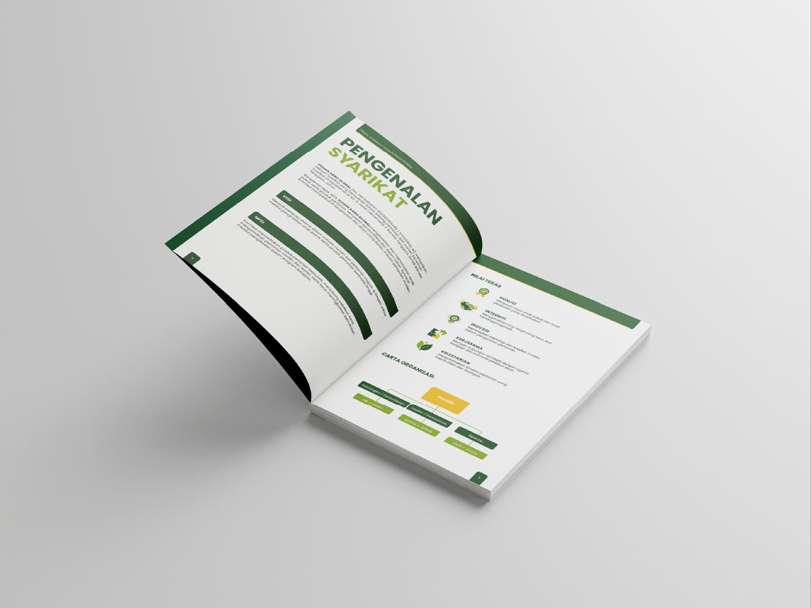 Fizuan company profile: opening pages