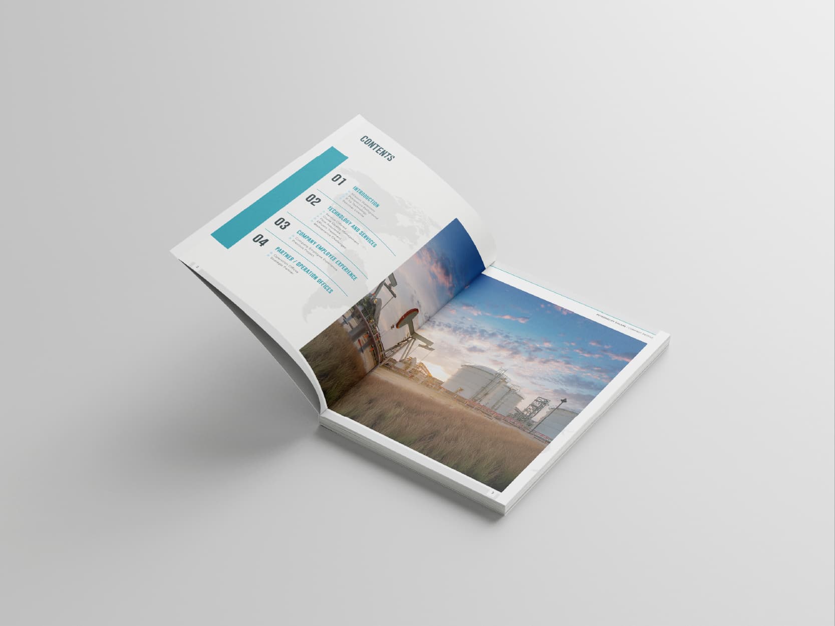 PE company profile: opening pages